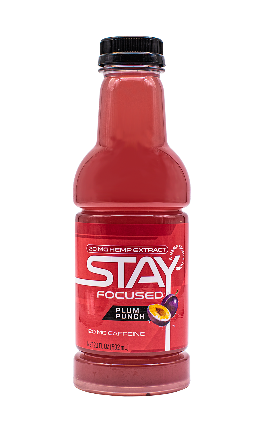 STAY Focused – 4-pack of Plum Punch